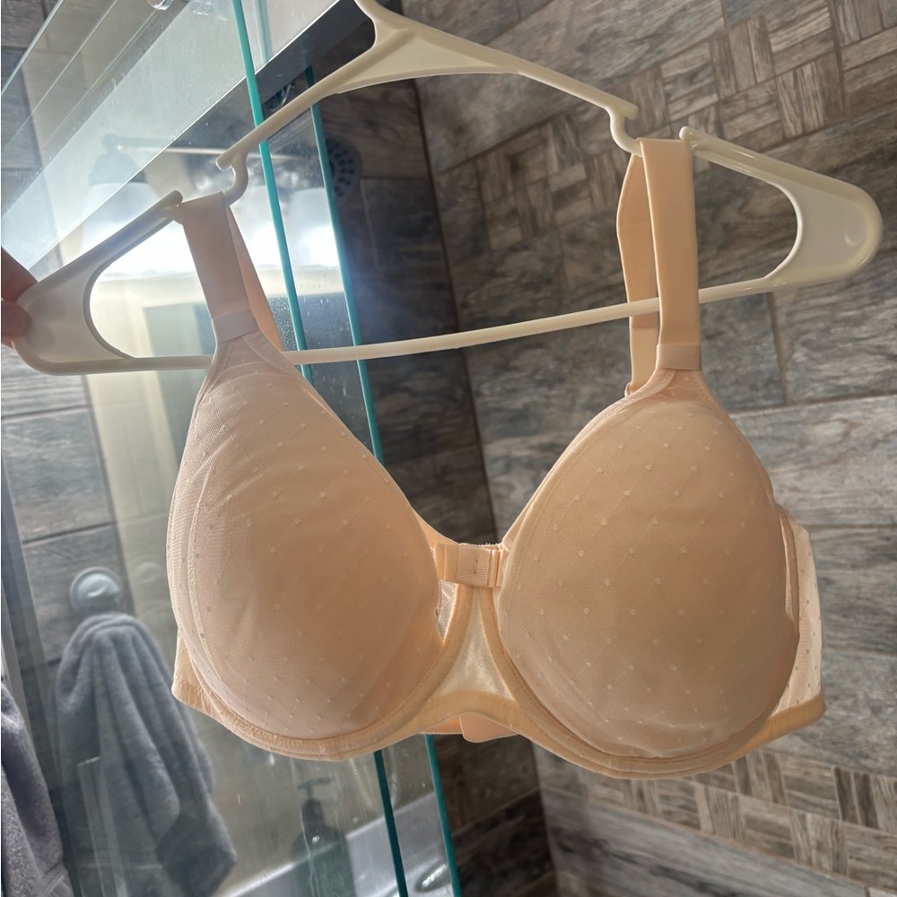 Elegant Cream Bra